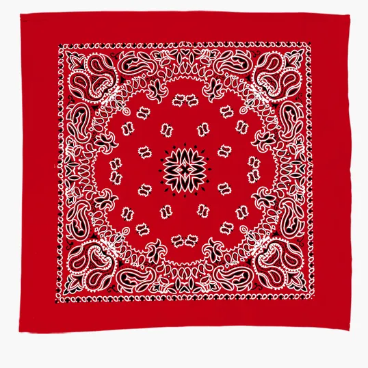 Garyline® 22" Cotton Bandana with Paisley Pattern — view 6