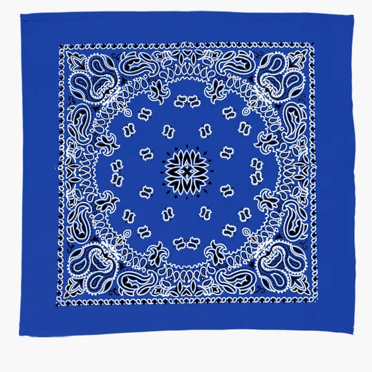 Garyline® 22" Cotton Bandana with Paisley Pattern — view 5