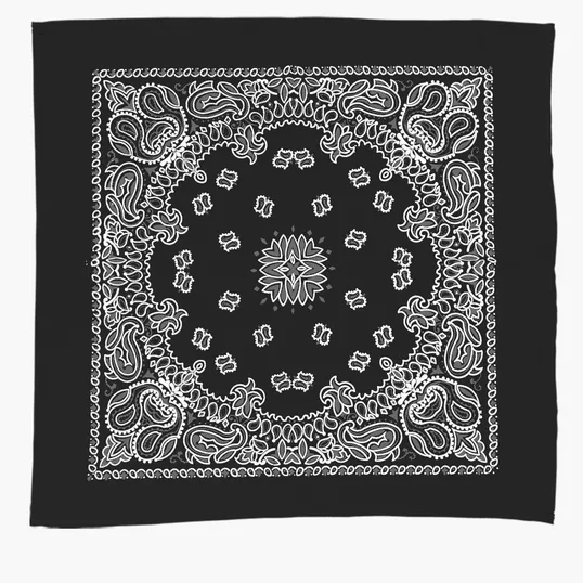 Garyline® 22" Cotton Bandana with Paisley Pattern — view 4