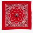 Garyline® 22" Cotton Bandana with Paisley Pattern — view 6