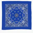 Garyline® 22" Cotton Bandana with Paisley Pattern — view 5