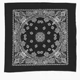 Garyline® 22" Cotton Bandana with Paisley Pattern — view 4