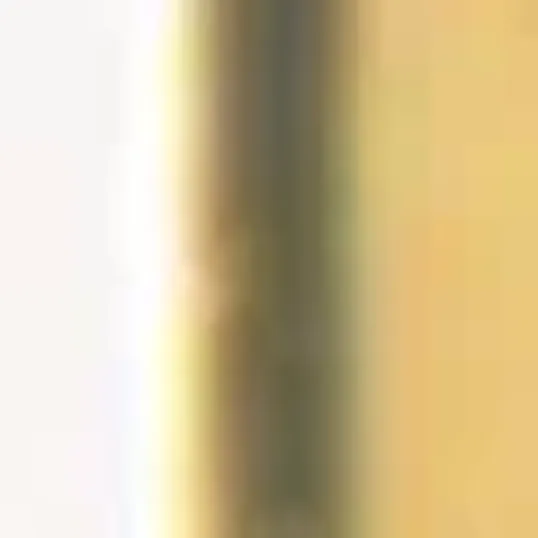 Classic Collection Clic™ Gold Pen