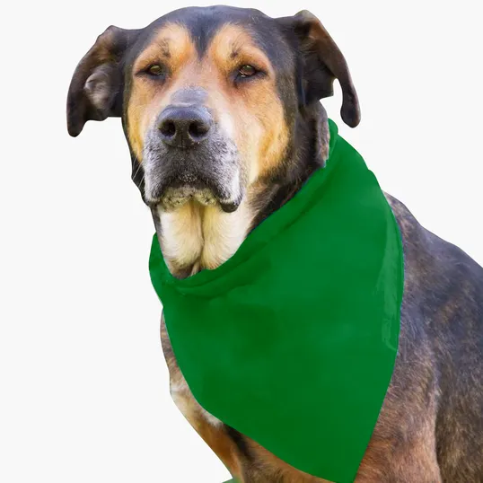 Garyline® Large Triangle Doggie Bandana — view 4