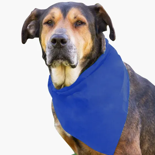 Garyline® Large Triangle Doggie Bandana — view 2