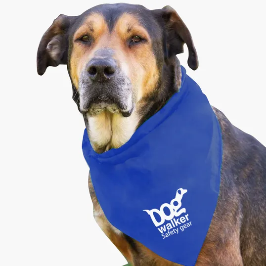 Garyline® Large Triangle Doggie Bandana — view 13