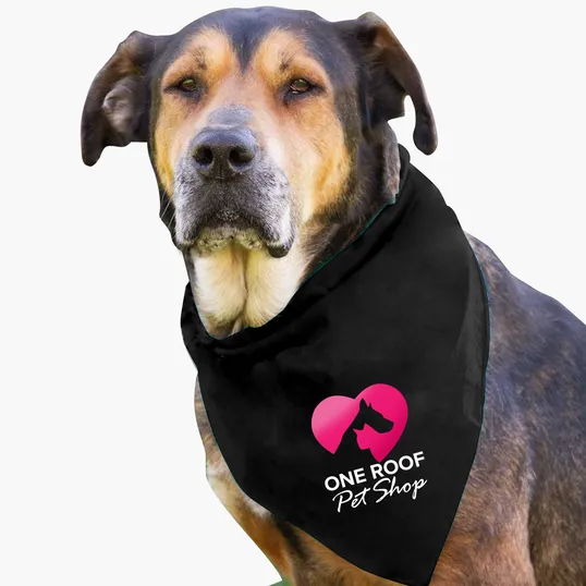 Garyline® Large Triangle Doggie Bandana — view 10