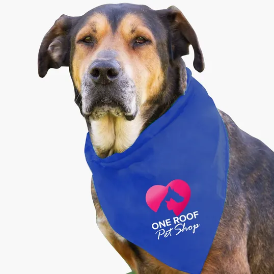 Garyline® Large Triangle Doggie Bandana — view 12