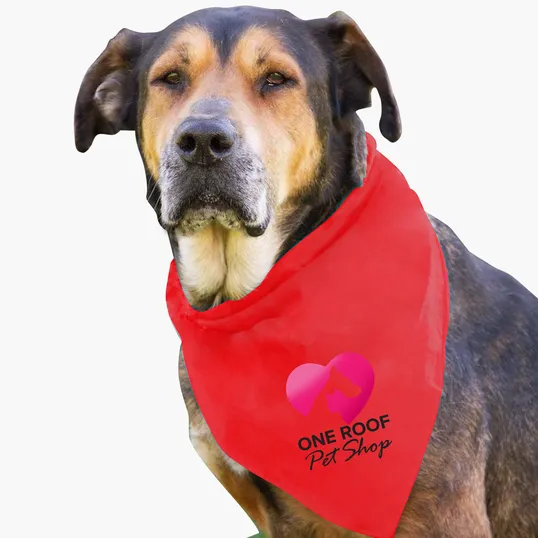 Garyline® Large Triangle Doggie Bandana — view 22