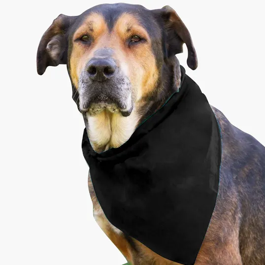 Garyline® Large Triangle Doggie Bandana