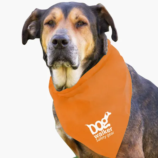 Garyline® Large Triangle Doggie Bandana — view 20