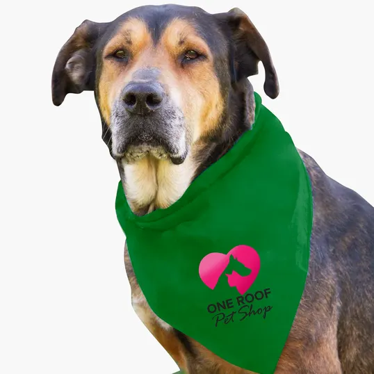 Garyline® Large Triangle Doggie Bandana — view 16