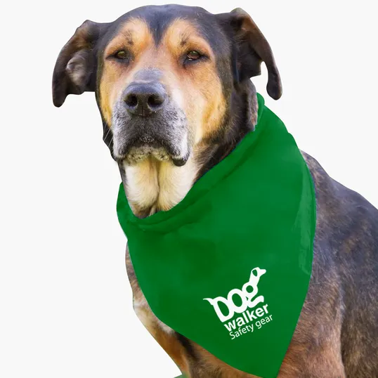 Garyline® Large Triangle Doggie Bandana — view 17
