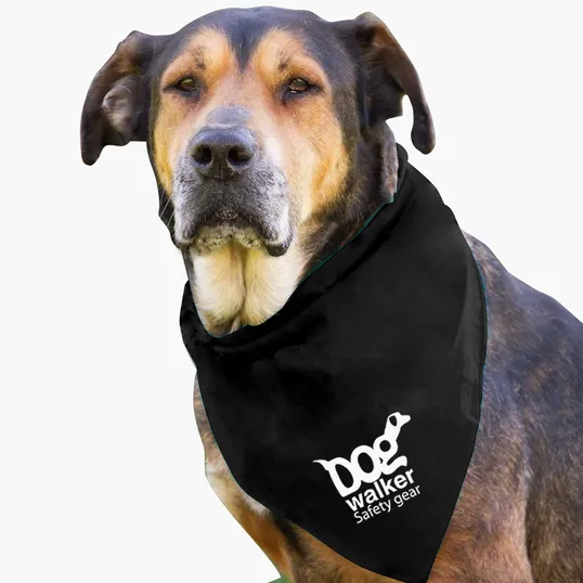 Garyline® Large Triangle Doggie Bandana — view 11