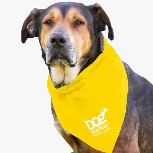 Garyline® Large Triangle Doggie Bandana — view 23