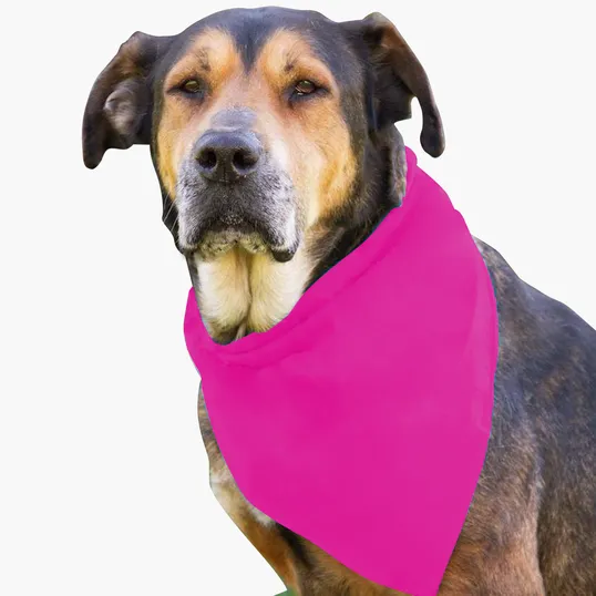 Garyline® Large Triangle Doggie Bandana — view 3