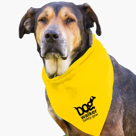 Garyline® Large Triangle Doggie Bandana — view 25