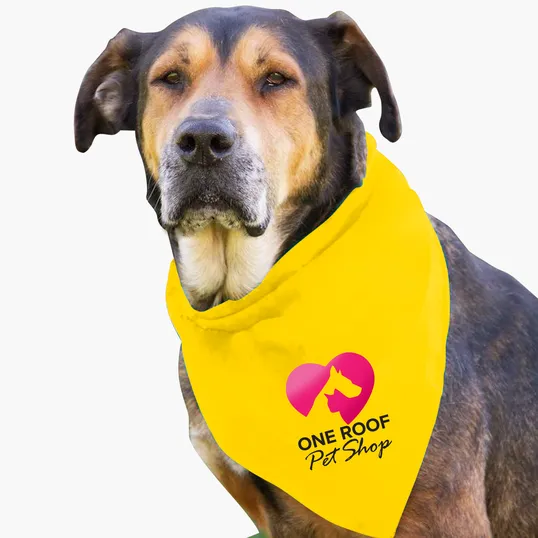 Garyline® Large Triangle Doggie Bandana — view 24