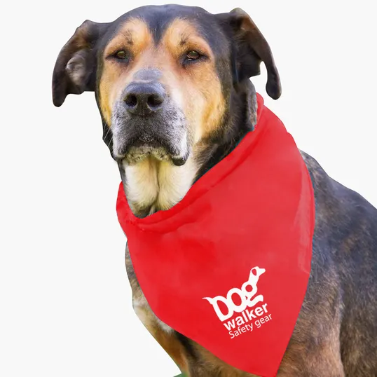 Garyline® Large Triangle Doggie Bandana — view 21