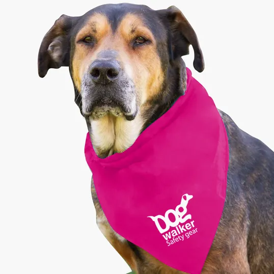 Garyline® Large Triangle Doggie Bandana — view 9