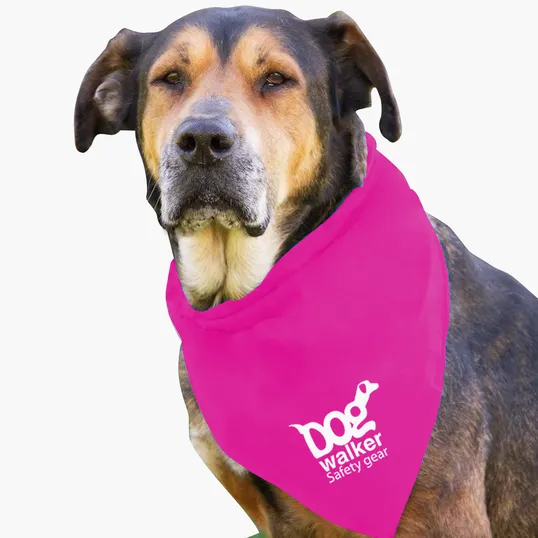 Garyline® Large Triangle Doggie Bandana — view 14