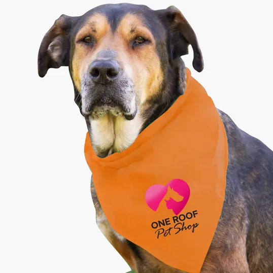 Garyline® Large Triangle Doggie Bandana — view 19
