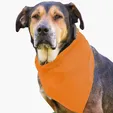 Garyline® Large Triangle Doggie Bandana — view 6