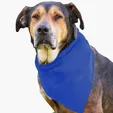 Garyline® Large Triangle Doggie Bandana — view 2