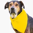 Garyline® Large Triangle Doggie Bandana — view 8