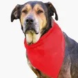 Garyline® Large Triangle Doggie Bandana — view 7