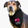 Garyline® Large Triangle Doggie Bandana — view 10
