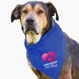 Garyline® Large Triangle Doggie Bandana — view 12