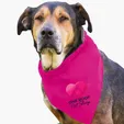 Garyline® Large Triangle Doggie Bandana — view 18