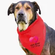 Garyline® Large Triangle Doggie Bandana — view 22