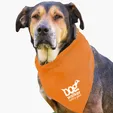 Garyline® Large Triangle Doggie Bandana — view 20