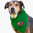Garyline® Large Triangle Doggie Bandana — view 16