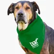 Garyline® Large Triangle Doggie Bandana — view 17