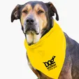 Garyline® Large Triangle Doggie Bandana — view 25