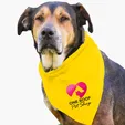 Garyline® Large Triangle Doggie Bandana — view 24