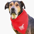 Garyline® Large Triangle Doggie Bandana — view 21