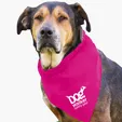 Garyline® Large Triangle Doggie Bandana — view 9