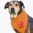 Garyline® Large Triangle Doggie Bandana — view 19