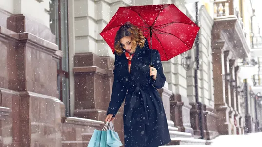 Shed Rain™ 40" Economy Auto-Open Compact Umbrella — view 24