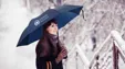 Shed Rain™ 40" Economy Auto-Open Compact Umbrella — view 12