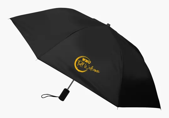 Shed Rain™ 40" Economy Auto-Open Compact Umbrella — view 19
