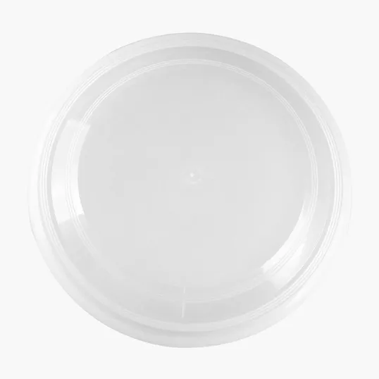 Garyline® Translucent 9" Flyer — view 21