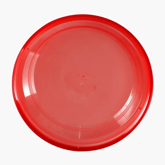 Garyline® Translucent 9" Flyer — view 23