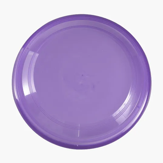 Garyline® Translucent 9" Flyer — view 24
