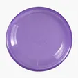 Garyline® Translucent 9" Flyer — view 24
