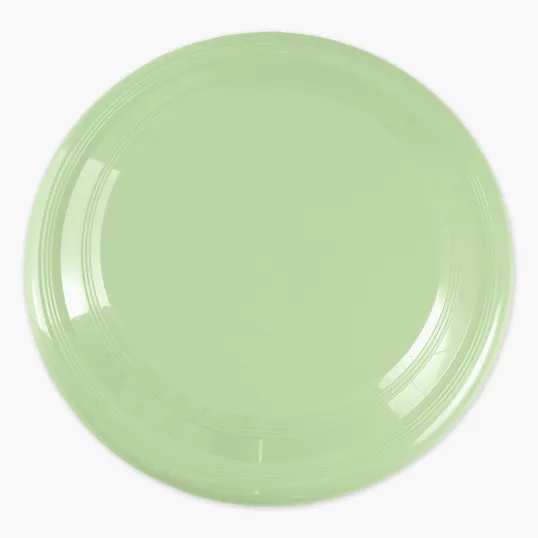 Garyline® Glow-in-the-Dark 9" Flyer